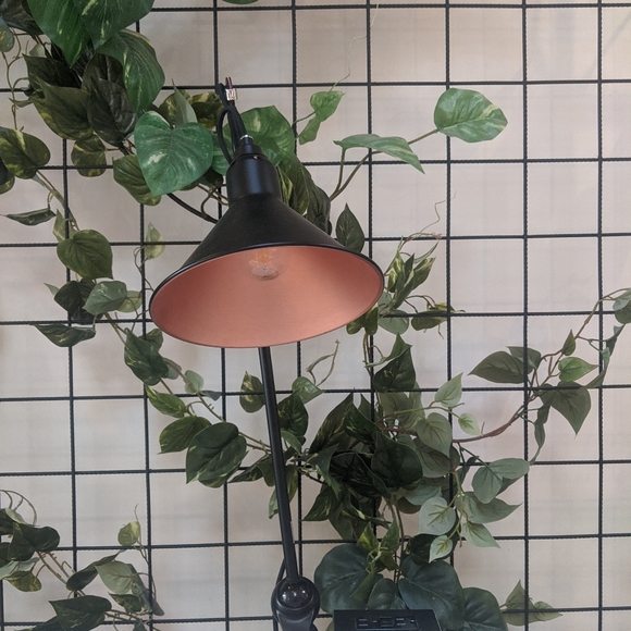 Meet your Posher, Adriana - Picture 3 of 4